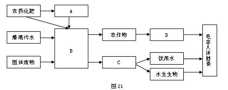 读“土壤污染物进入人体的途径示意图”,回答下列问题。将下列数码代号①土壤 ②食品③水体 ④大气填入图中正确位置:ABCD图中的环 读“土壤污染物进入人体的途径示意图”,回答下列问题。将下列数码代号①土壤 ②食品③水体 ④大气填入图中正确位置:ABCD图中的环