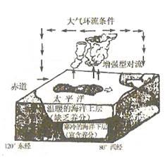 下列地理现象中,可能影响全球环境的是A.南方低山丘陵的“红漠化”B.日本的水俣事件C.东太平洋赤道附近表层海水温度异常D.美国的暴雪天气 下列地理现象中,可能影响全球环境的是A.南方低山丘陵的“红漠化”B.日本的水俣事件C.东太平洋赤道附近表层海水温度异常D.美国的暴雪天气
