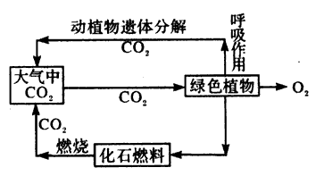 读二氧化碳在自然界中主要循环示意图,回答1~2题1、使大气中的CO2含量增加的主要原因有①燃烧化石燃料②火山爆发③绿色植物被大量破坏④太 读二氧化碳在自然界中主要循环示意图,回答1~2题1、使大气中的CO2含量增加的主要原因有①燃烧化石燃料②火山爆发③绿色植物被大量破坏④太