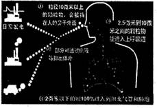 材料一:PM2.5是指大气中直径小于或等于2.5微米的颗粒物,也称为可入肺颗粒物,是被忽视的致命“杀手”.PM2.5指数已经成 材料一:PM2.5是指大气中直径小于或等于2.5微米的颗粒物,也称为可入肺颗粒物,是被忽视的致命“杀手”.PM2.5指数已经成