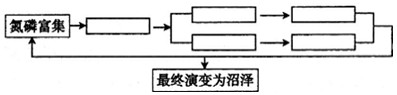 读湖泊沼泽化过程示意图,回答下列问题。将下列选项前的序号填写到相应的空格内。①阻挡阳光②鱼类死亡③水生植物死亡④蓝藻暴发⑤ 读湖泊沼泽化过程示意图,回答下列问题。将下列选项前的序号填写到相应的空格内。①阻挡阳光②鱼类死亡③水生植物死亡④蓝藻暴发⑤