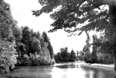 什么是苏联园林? 巴甫洛夫公园中心水池