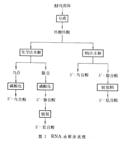 什么是核苷酸类调味料? 图