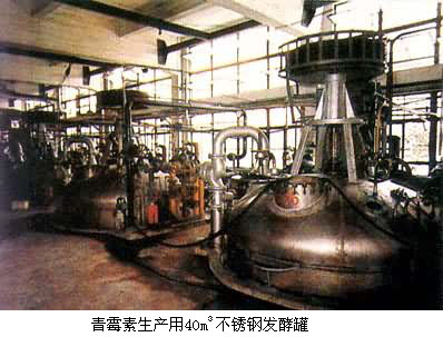 什么是青霉素? 图