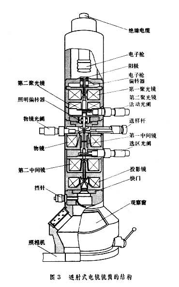 什么是电子显微镜? 图3