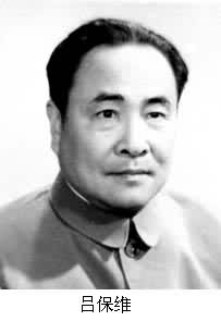 什么是吕保维? 图