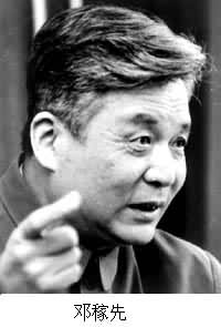 什么是邓稼先? 图