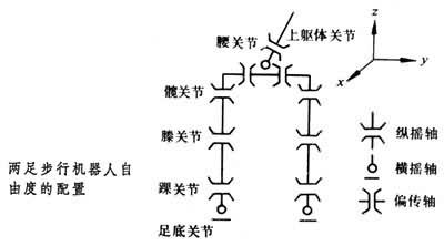 什么是两足步行机器人? 图