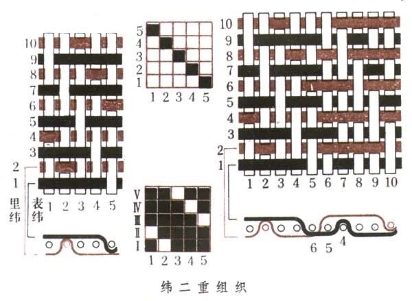 什么是二重组织? 图