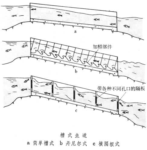 什么是鱼道? 图