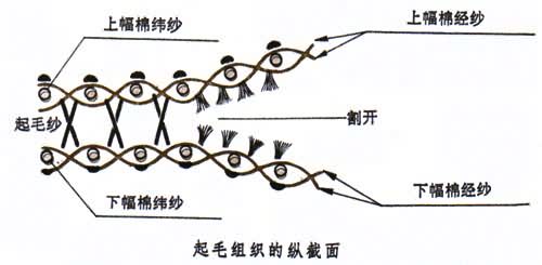 什么是长毛绒? 图