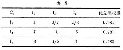 什么是层次分析法? 表5