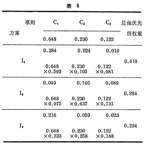 什么是层次分析法? 表6