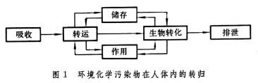 什么是环境医学? 图