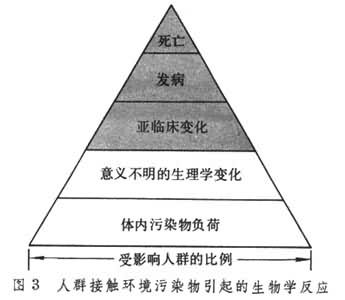 什么是环境医学? 图
