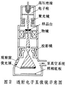什么是电子显微镜? 图