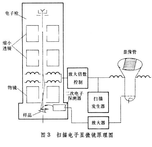 什么是电子显微镜? 图