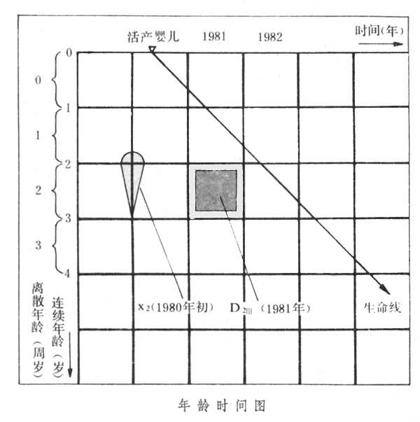 什么是人口系统动态特性? 图