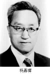 什么是杨嘉墀(1919~ )? 图