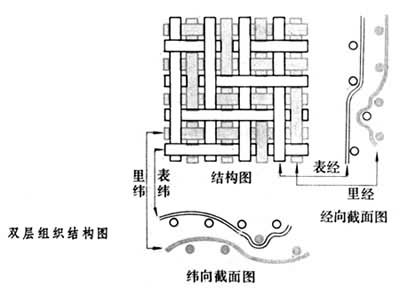 什么是双层组织? 图
