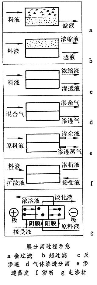 什么是膜分离? 图
