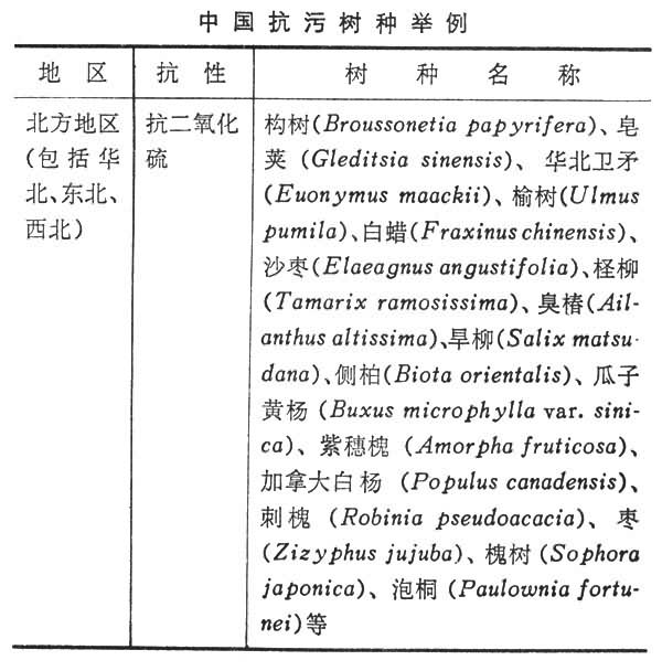 什么是抗污树种? 图