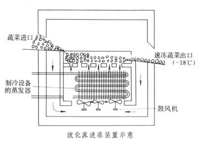 什么是蔬菜速冻? 图