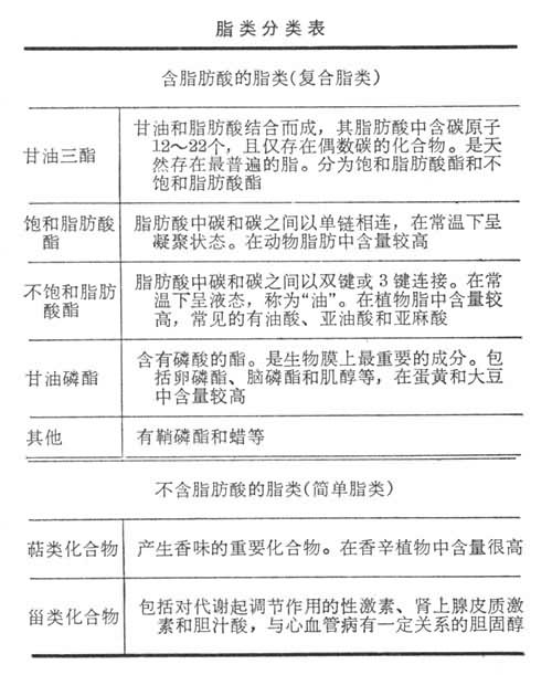 什么是脂类? 图