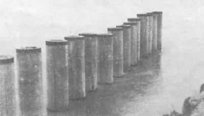 什么是河道整治建筑物? 桩坝
