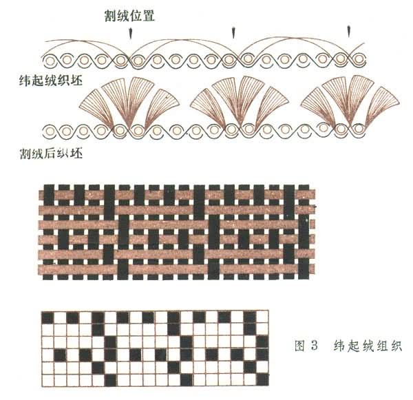 什么是起绒组织? 图