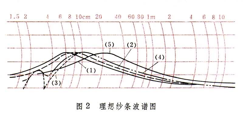 什么是条干? 图