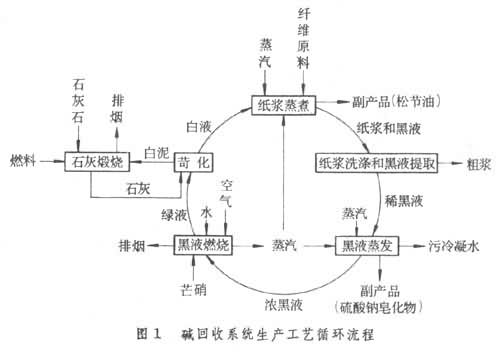 什么是制浆黑液碱回收? 图