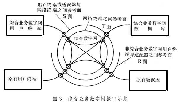 什么是数字网? 图