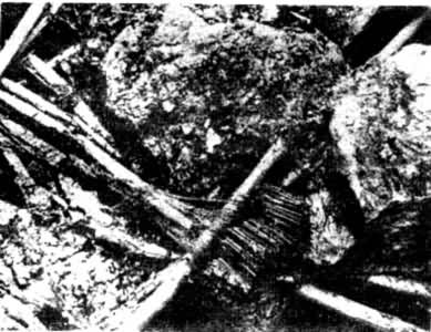 什么是世界纺织史? 图5 奥斯陆出土的多综板织机