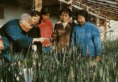 北京农业大学是什么? 北京农业大学蔡旭教授在温室里讲授农业科学技术