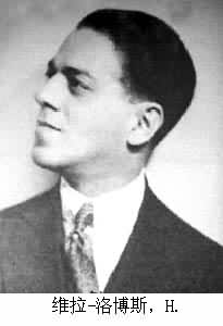 维拉-洛博斯,H.是什么? 图