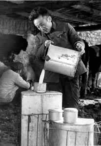 回族是什么? 银川市郊区回族农民办起家庭奶牛饲养场