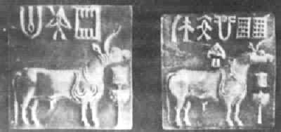 哈拉帕文化是什么? 摩亨佐达罗出土的独角兽印章