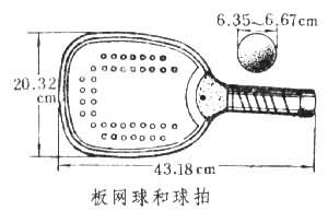 板网球是什么? 图