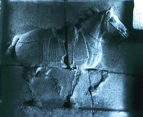 唐是什么? 昭陵六骏石刻之一──特勤骠 现存陕西省博物馆