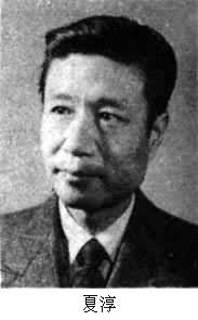 夏淳于是什么身份(夏止夏淳淳) 图