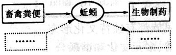 某校组织学生开展以“嘉兴市人口、资源与环境”为主题的社会调查。某班同学获取并整理出以下信息资料。现在请你参与,完成相关任务。 材料一:2001-20 某校组织学生开展以“嘉兴市人口、资源与环境”为主题的社会调查。某班同学获取并整理出以下信息资料。现在请你参与,完成相关任务。 材料一:2001-20