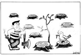 观察下列漫画,并回答问题。都在等漫画的题目是《都在等》,面对劫后余生的小树苗,一边是持斧人,一边是衔枝鸟,他和它“都在等”什么?这是 观察下列漫画,并回答问题。都在等漫画的题目是《都在等》,面对劫后余生的小树苗,一边是持斧人,一边是衔枝鸟,他和它“都在等”什么?这是