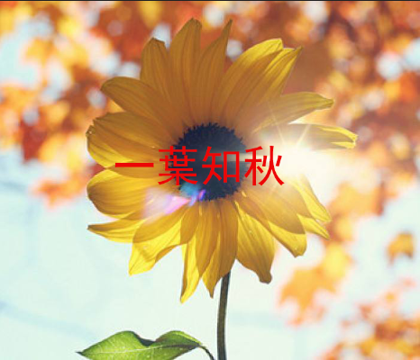 PS如何新建和删除图层?快捷键是什么? PS如何新建和删除图层?快捷键是什么?
