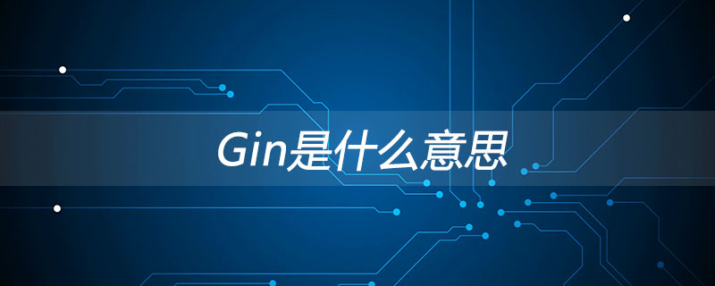gin是什么意思? gin是什么意思?