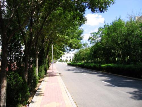 东营科技职业学院是民办还是公办?学费一年多少?有哪些王牌专业 东营科技职业学院是民办还是公办?学费一年多少?有哪些王牌专业