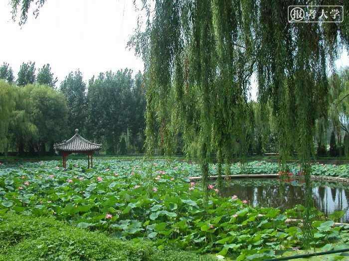 曲阜远东职业技术学院怎么样是公办吗?学费多少?王牌专业介绍 曲阜远东职业技术学院怎么样是公办吗?学费多少?王牌专业介绍