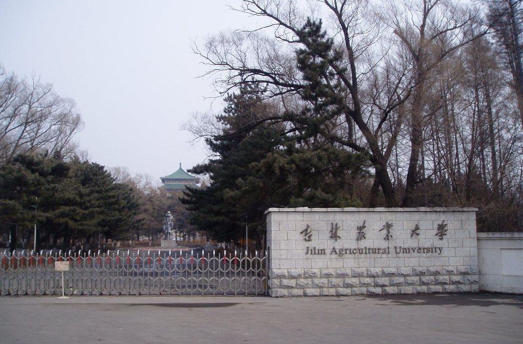 什么大学有家政专业就业前景如何?这些大学因开设家政专业而火 什么大学有家政专业就业前景如何?这些大学因开设家政专业而火