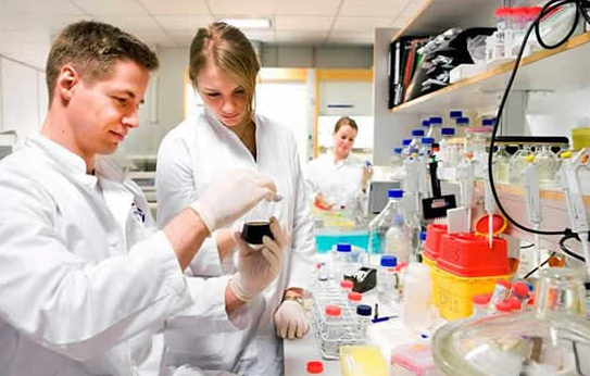 生物医学工程好不好就业前景如何?最好的生物专业院校不要错过 生物医学工程好不好就业前景如何?最好的生物专业院校不要错过