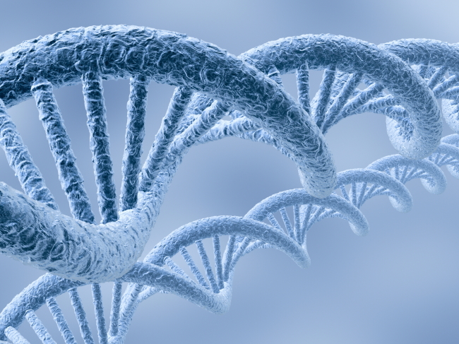 生物学最有前景的专业有哪些?学生物工程有前途吗看看过来人咋说 生物学最有前景的专业有哪些?学生物工程有前途吗看看过来人咋说